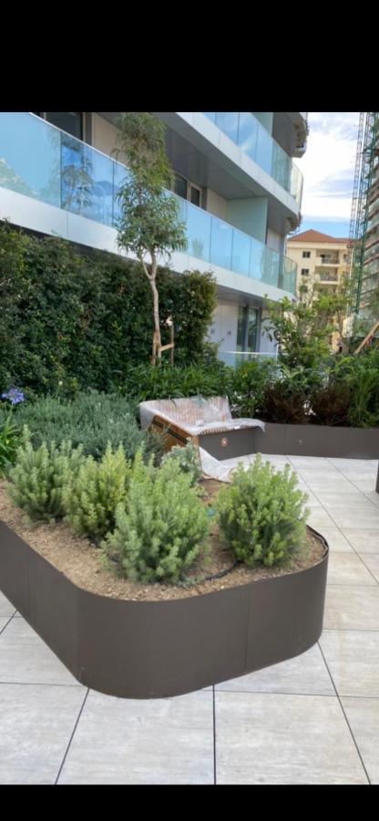 Ardwyn Studio Eurocity Apartments Cebelitarık Dış mekan fotoğraf